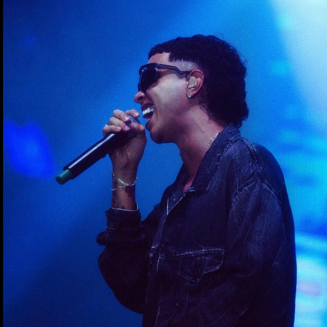 Pulseira Cravejada Prata (2 Listras)